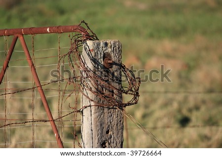 Old barbwire fence and gate #2