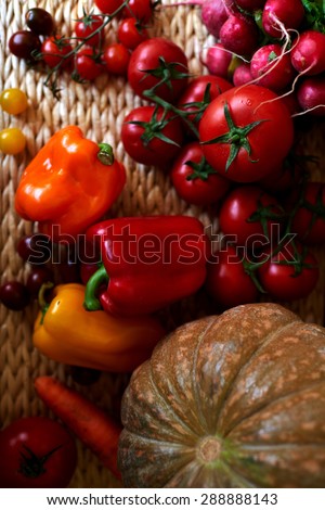 A set of colorful seasonal vegetables, Vegetables red light lay in a wicker basket, Ripe tomatoes, peppers, radishes, squash, carrots harvested from the garden