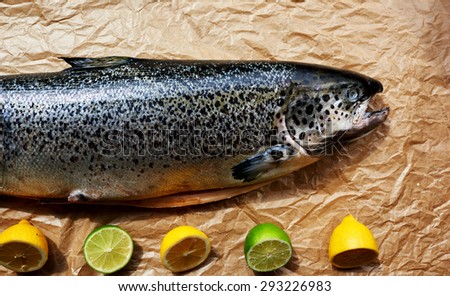 On showcase trendy fish restaurant is fresh salmon carcass from which it will be possible to cook any dish