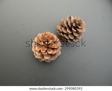 brown pine cones on black background