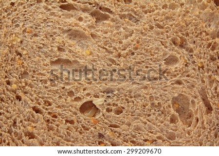 whole wheat bread texture