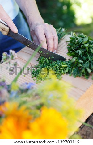 Hands cutting fresh cake herbs from the garden