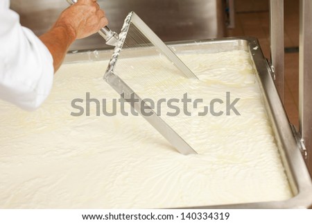 Cheese production plant worker at a tank full with fermenting milk