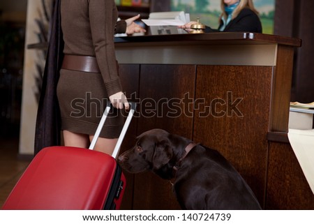 female guest with dog and baggage at hotel reception