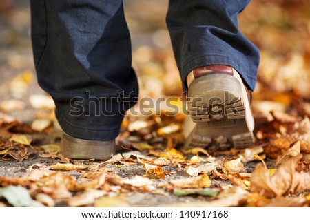 A man strolling through the forest in Autumn alone