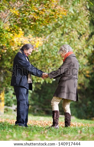 Senior Couple Holding hands in the park