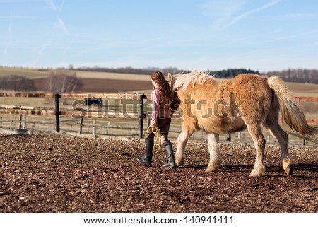 Girl leading horse by hand through the paddock on a sunny day
