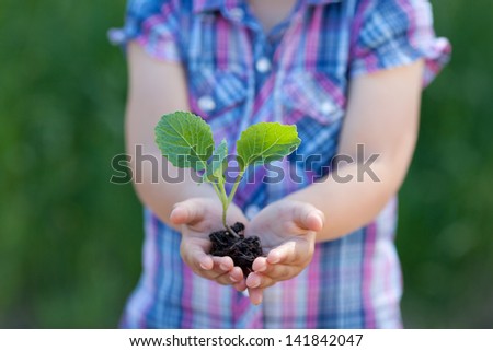 Conceptual portrait of child hands holding a little plant