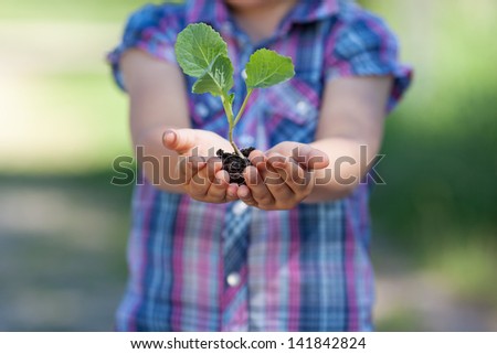 Conceptual portrait of little plant holding by the young girl