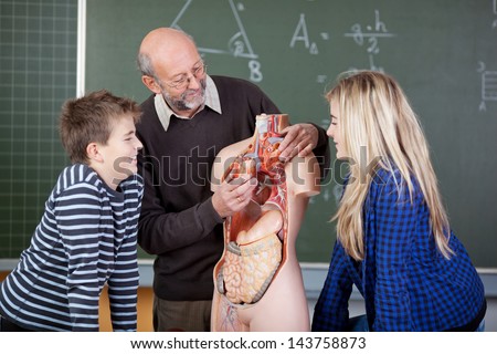 Senior male teacher explaining anatomical model\'s organs to students in biology class