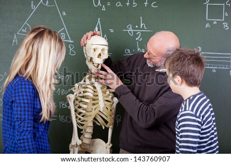 Senior male teacher explaining skeleton parts to students in biology class