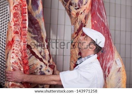 butcher checking quality of beef hanging in cold room