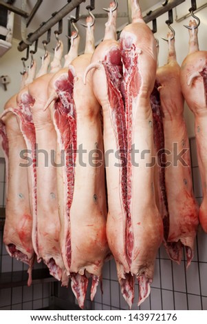 Pig carcasses in a slaughterhouse or abattoir hanging from metal hooks on a rail in a cold room