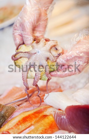Male worker\'s hands showing octopus stuck to shell in fish industry