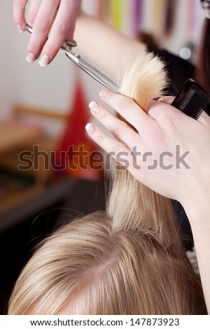 Hairdresser cutting blond hair in a hair salon using a pair of scissors