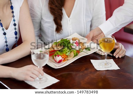 Waiter serving a plate of salad to a woman guest in a restaurant, cropped close up view of the food and his hand