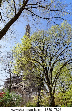 The Eiffel tower through foliage of trees in spring