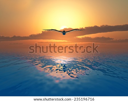 Dove flying over the sea on sunset background