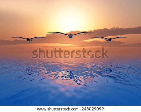 three dove flying over the sea on sunset background