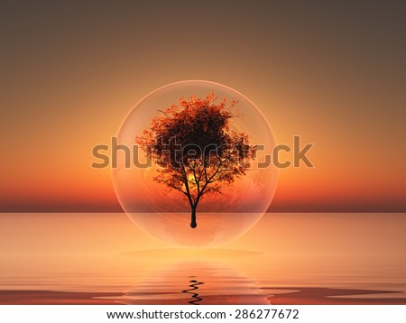 a tree inside a bubble on sunset background