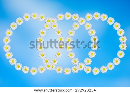 circle made with daisies flower