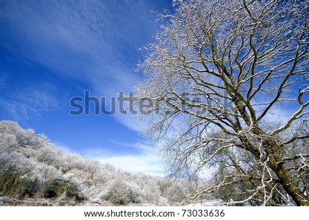 countryside landscape in winter
