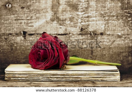 a rose on an old book