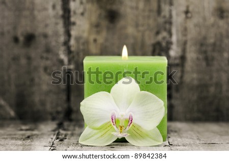 an orchid flower with a green candle in the background