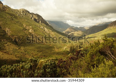 Mountain pass with fynbos vegetation in winter - Western Cape province, South Africa