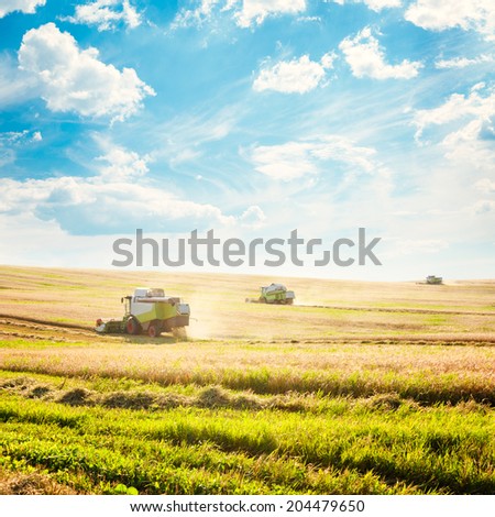 Working Harvesting Combines in the Field of Wheat. Agriculture Concept. Copy Space. Toned Photo.