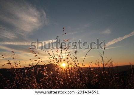 Sunset in the grass in the mountains