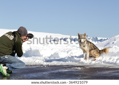 SAFED, ISRAEL - December 12, 2013: - Man photographs dog on snow backround after snow storm  of 2013