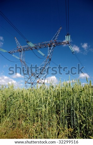 Power lines on wheat field