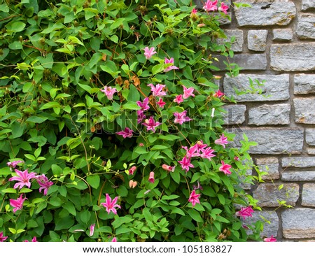Stone wall with flowers