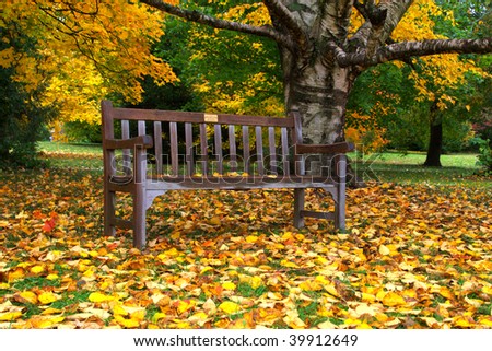 Wooden park bench in the park in fall time