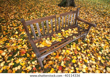 Wooden park bench in the park in fall time