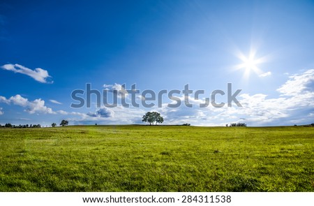 beautiful landscape with a lone tree, clouds and blue sky, natural colors