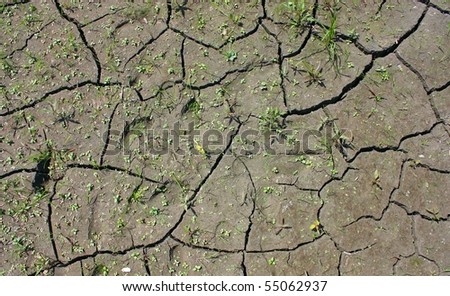 dried mud in drought disaster
