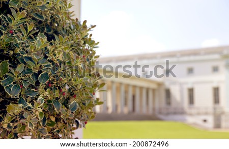 LONDON UK - MAY 15, 2014: Holly tree and Queen\'s palace on the back. Palace was built as an adjunct to the Tudor Palace 1619.