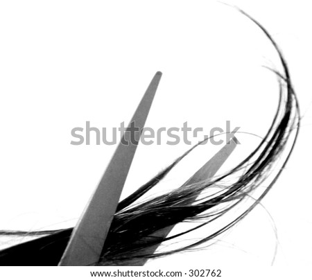 hair and scissors. stock photo : scissors cutting hair