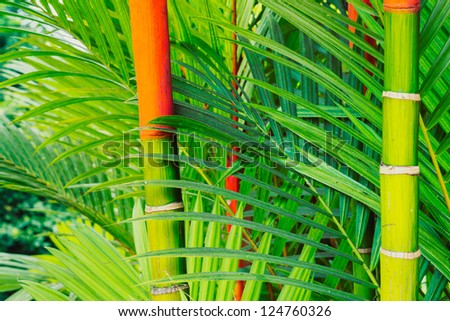 Vibrant Tropical Plants In Hawaii, Abstract Background
