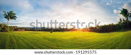 Grassy Green Field at Sunset