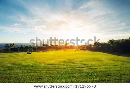 Grassy Green Field at Sunset