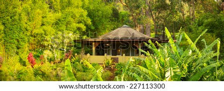 Tropical Cabin Retreat in the Jungle