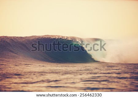 Amazing Ocean Wave Breaking at Sunset, Epic Surf