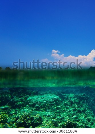 Tropical Coral Reef and Blue Sky Over Under