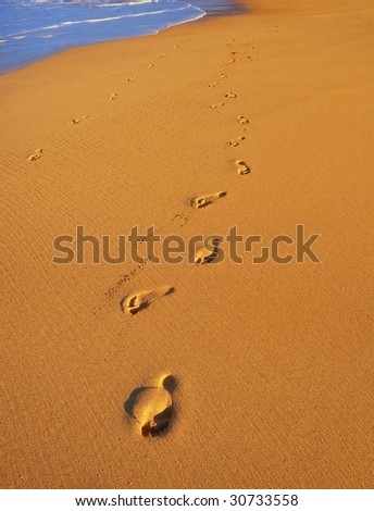 Foot Prints on Tropical Beach at Sunset