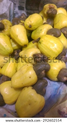 ripe cashew fruit