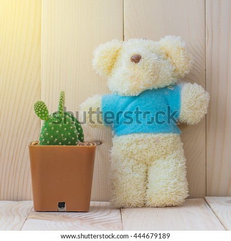 cactus and teddy bear on the floor and wooden background, soft light