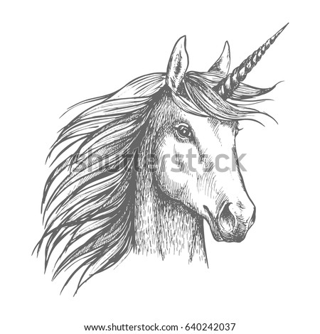 Unicorn horse animal vector sketch. White mythical heraldic isolated horse head with long horn. Mythic symbol of fantasy horse for fairytale story or fantasy design